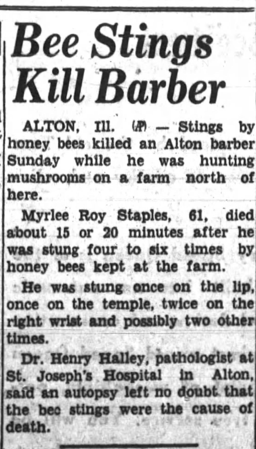Bee stings kill barber